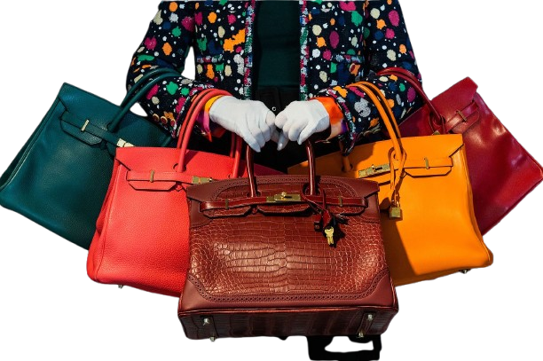 POS_230718104930-01-hermes-birkin-bag-explainer-top-restricted-removebg-preview